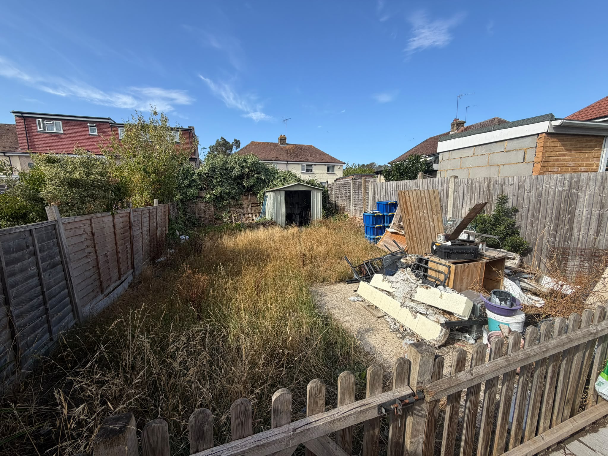 Overgrown Yard Before Aubrey Landscape Work